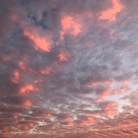 Welcome! Please read 💕 🇨🇦 - Picture 1 of 1